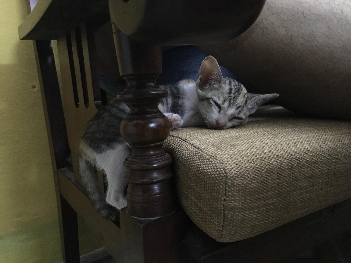 Nha Homestay Da Nang Eksteriør billede