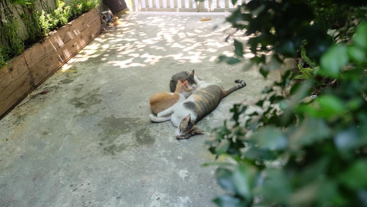 Nha Homestay Da Nang Eksteriør billede