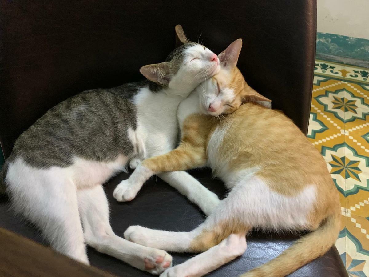 Nha Homestay Da Nang Eksteriør billede
