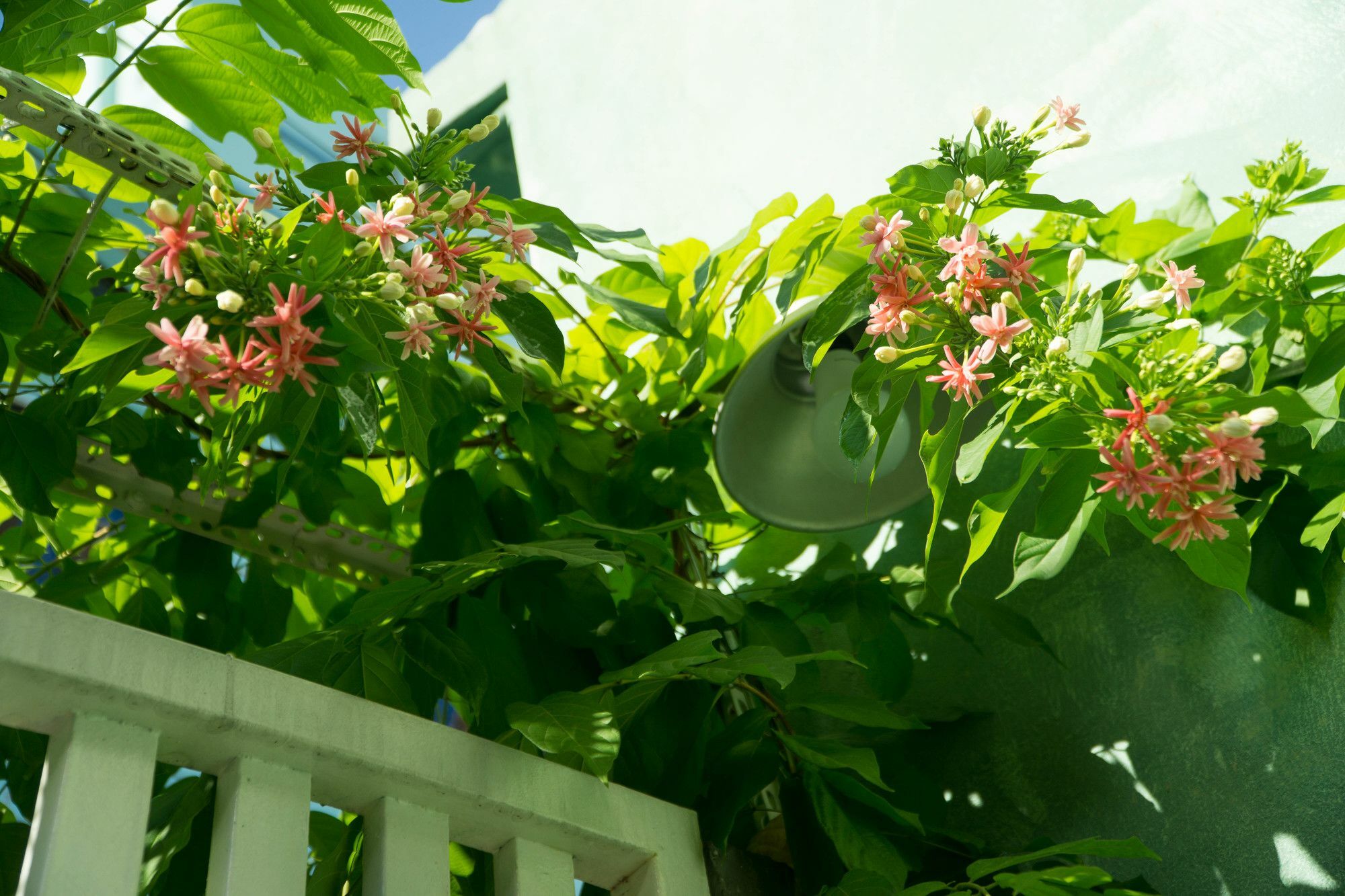 Nha Homestay Da Nang Eksteriør billede